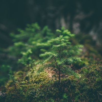 ENVIRONMENT & CLIMATE